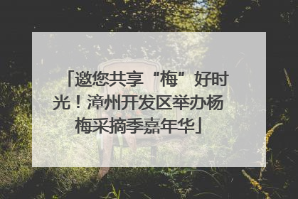 邀您共享“梅”好时光！漳州开发区举办杨梅采摘季嘉年华